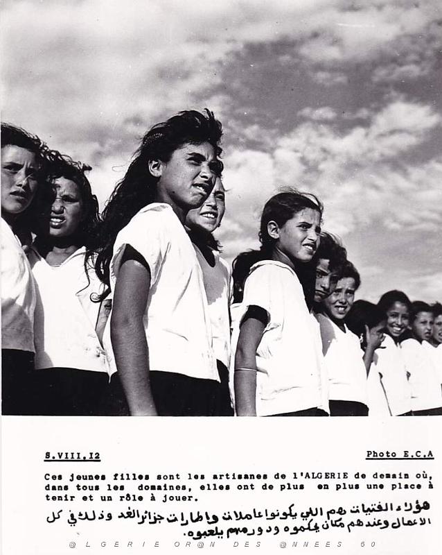 Algerie propagande 079.jpg